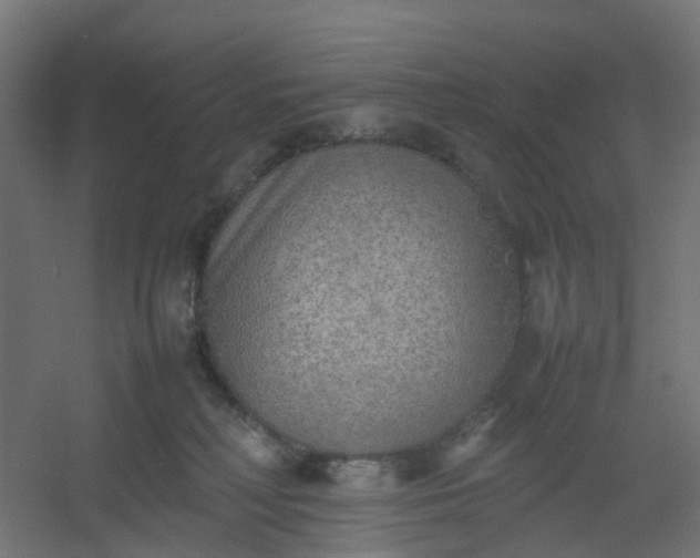 X0000054370230200508121548