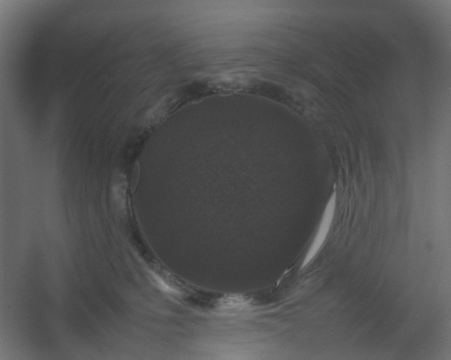 X0000054370231200508121548