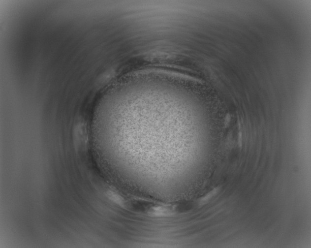 X0000054370232200508121548