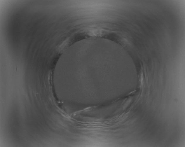 X0000054370233200508121548