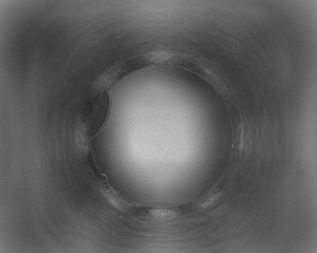 X0000054370234200508121548