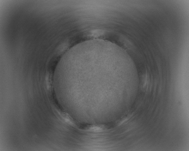 X0000054370236200508121548