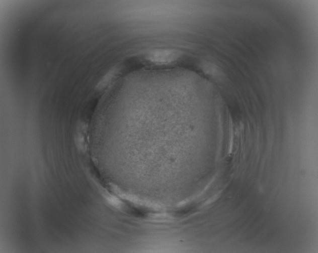 X0000054370237200508121548