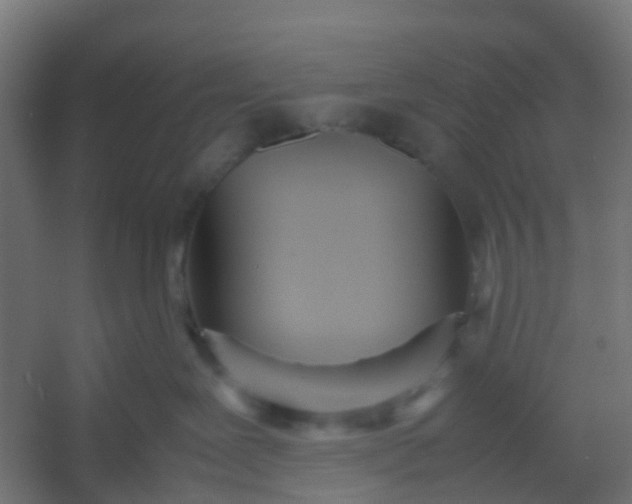 X0000054370239200508121548