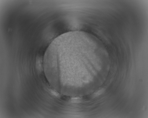 X0000054370240200508121548