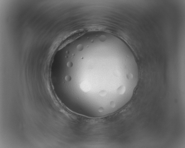 X0000054370241200508121547