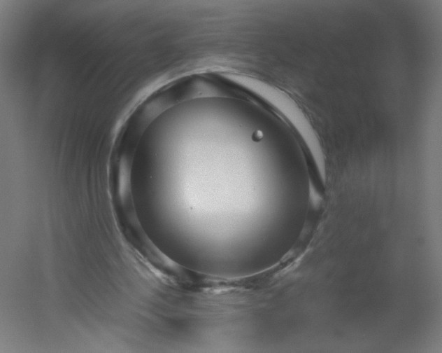 X0000054370244200508121547