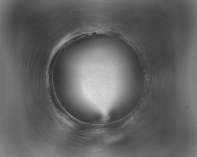 X0000054370246200508121548