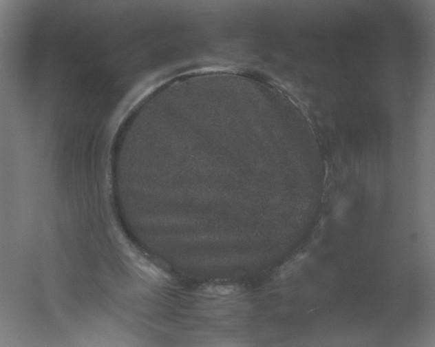 X0000054370247200508121548