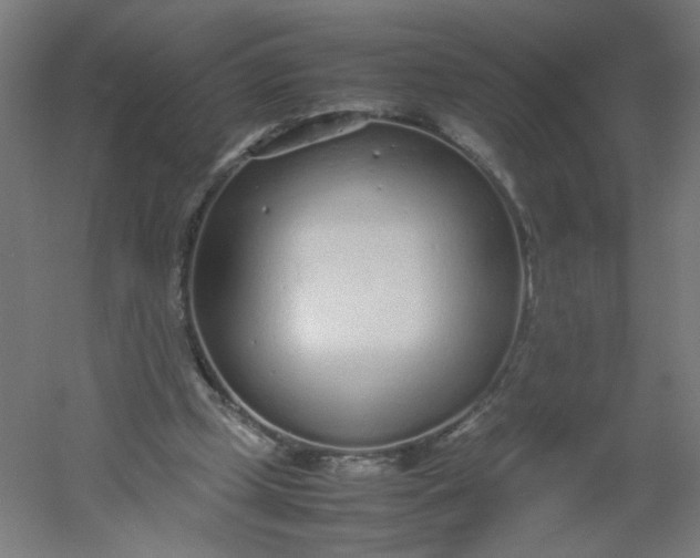 X0000054370249200508121548