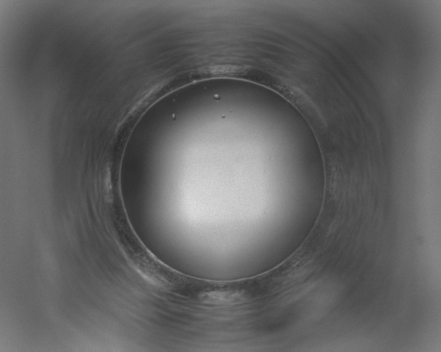 X0000054370251200508121548