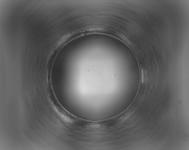 X0000054370253200508121548