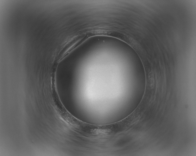 X0000054370255200508121548