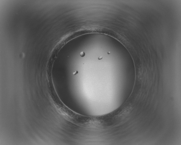 X0000054370256200508121548