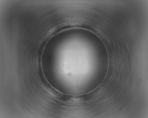 X0000054370260200508121548