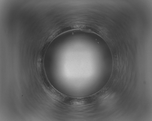 X0000054370263200508121548