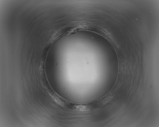 X0000054370265200508121548