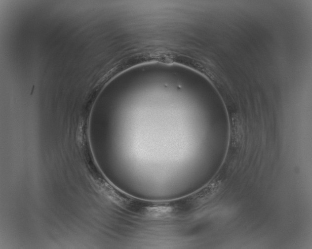 X0000054370266200508121548