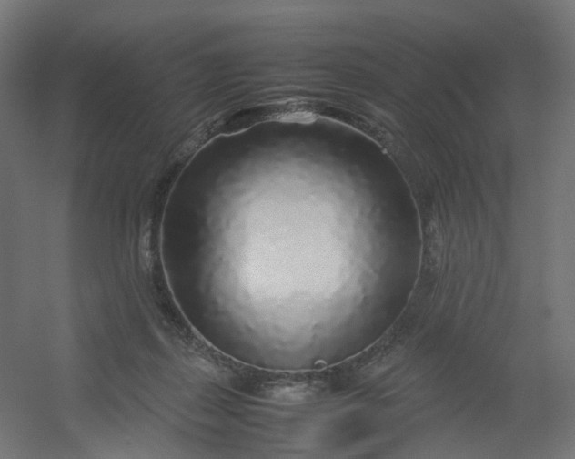 X0000054370267200508121548