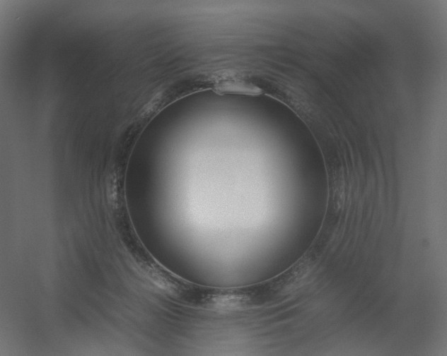 X0000054370268200508121548