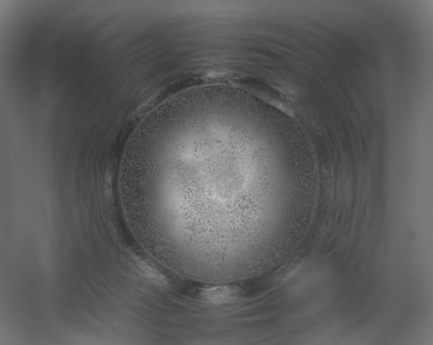 X0000054370269200508121548