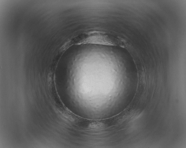 X0000054370271200508121548