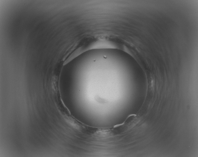 X0000054370280200508121548