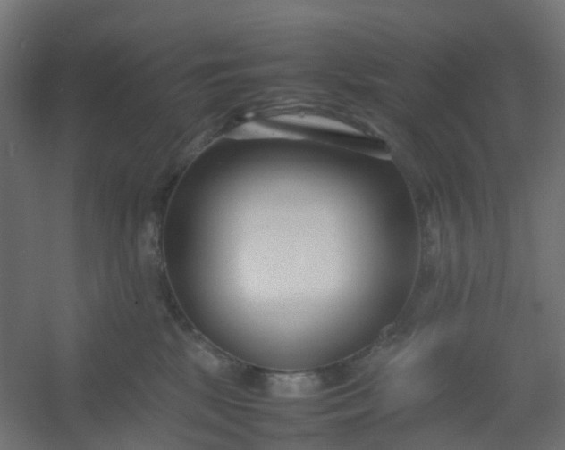 X0000054370281200508121548