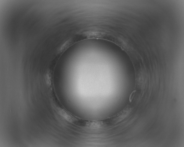 X0000054370282200508121548