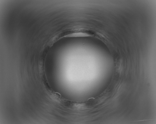 X0000054370283200508121548