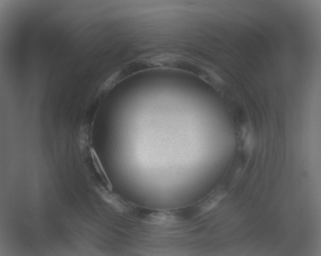 X0000054370284200508121548