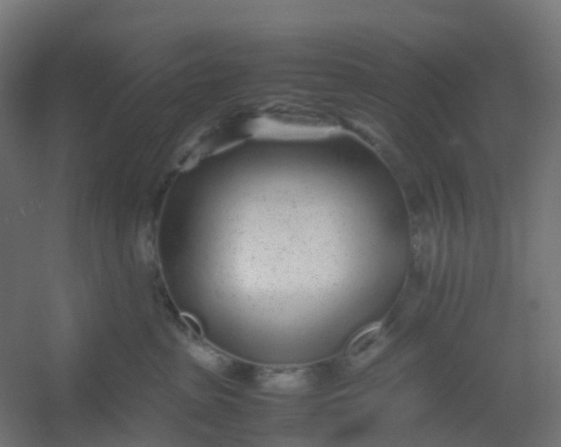 X0000054370285200508121548