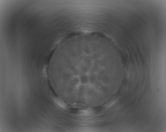 X0000054370286200508121548