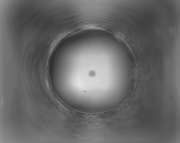 X0000054370289200508121547