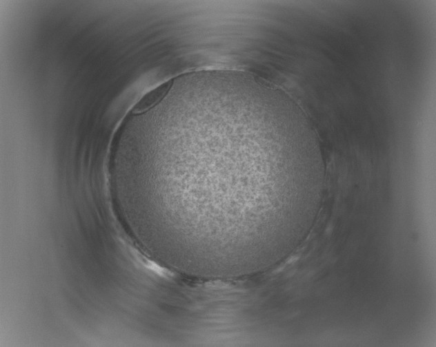 X0000054370290200508121547