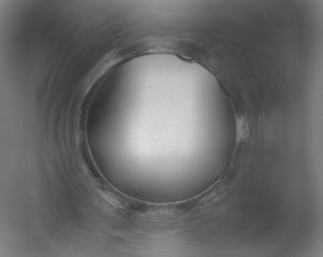 X0000054370291200508121547