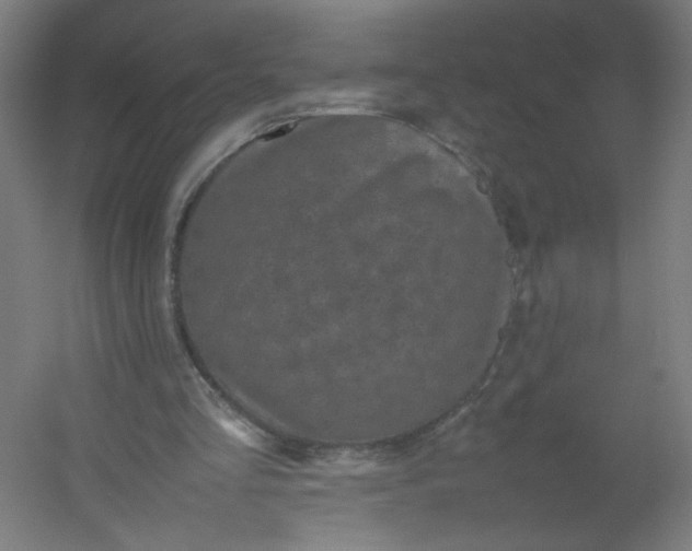 X0000054370293200508121547