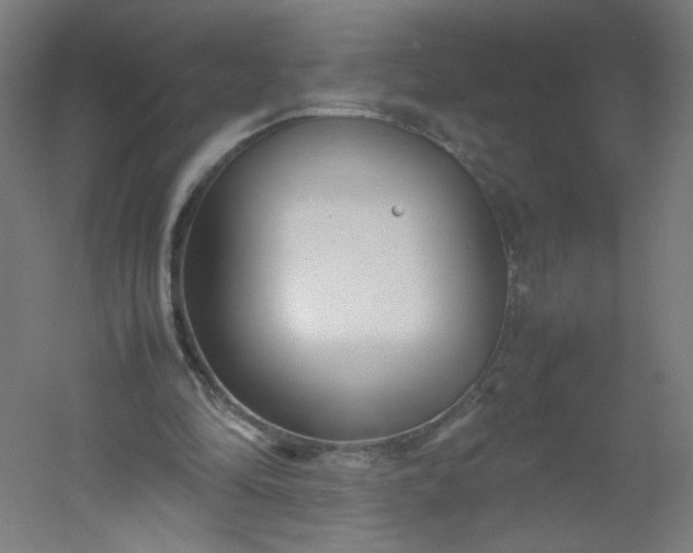 X0000054370294200508121547