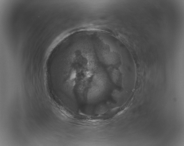 X0000054370295200508121547