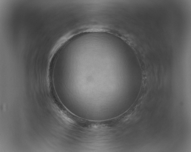 X0000054370296200508121547