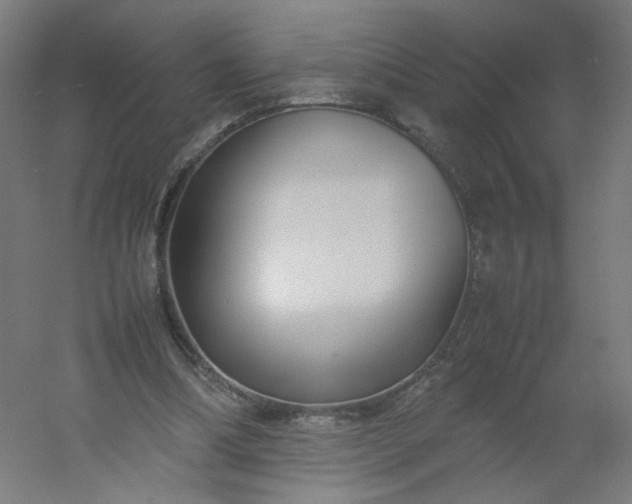 X0000054370298200508121547