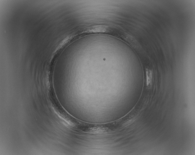 X0000054370300200508121547