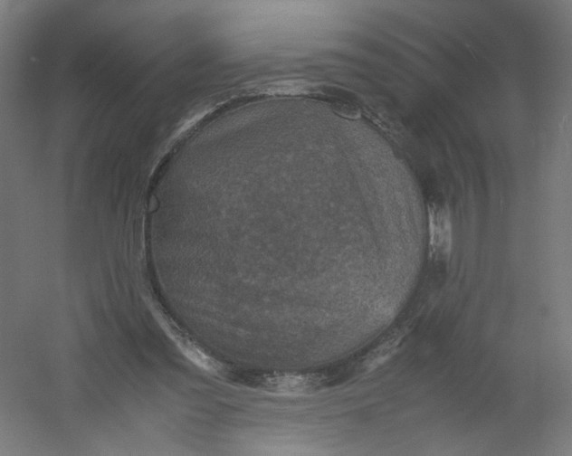 X0000054370301200508121547