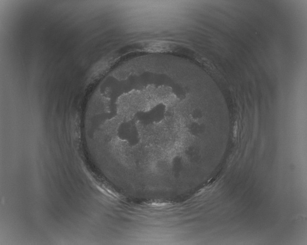 X0000054370303200508121547