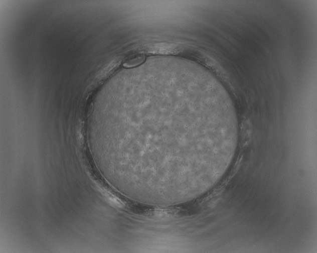 X0000054370305200508121547