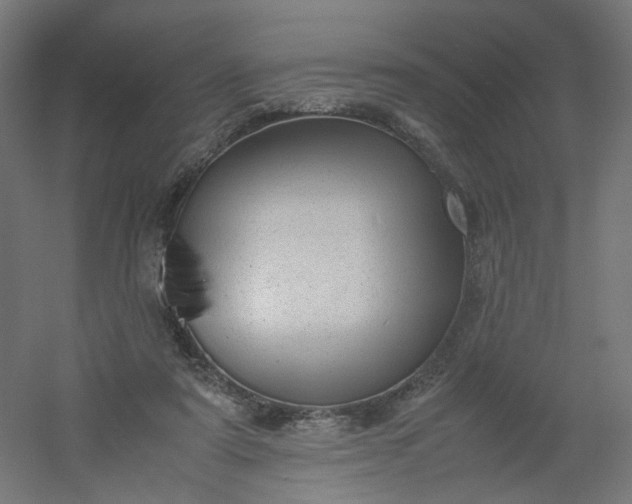 X0000054370307200508121547