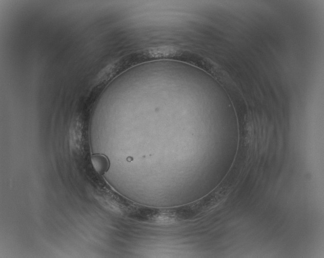 X0000054370308200508121547