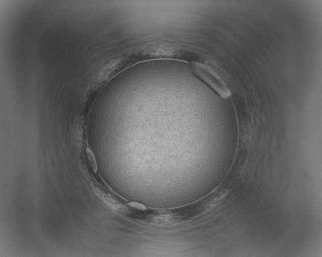 X0000054370309200508121547