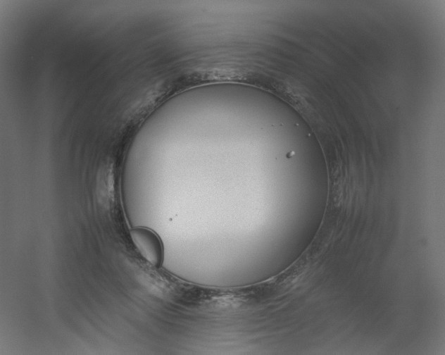 X0000054370310200508121547