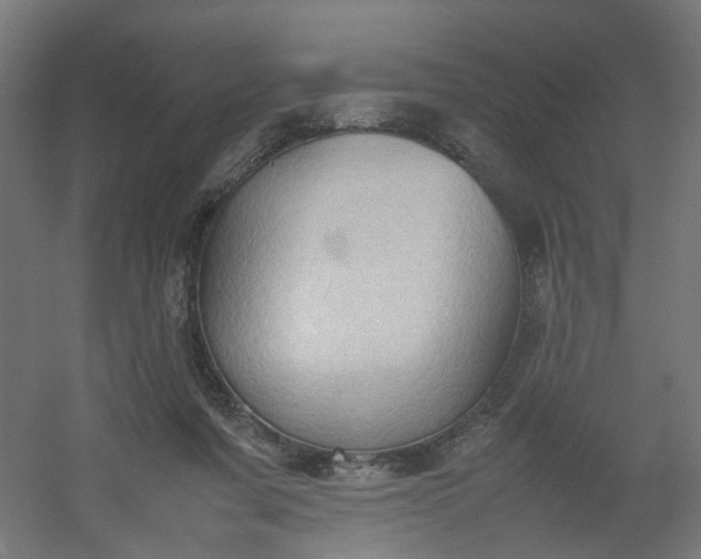 X0000054370311200508121547